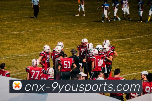 九游体育官方网站品牌故事